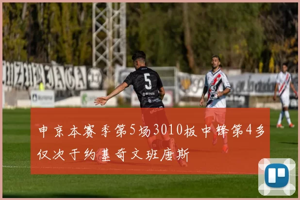 申京本赛季第5场3010板中锋第4多仅次于约基奇文班唐斯